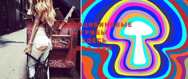 гидра Протвино